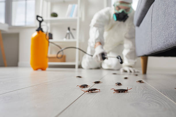 Trusted Cockroach Control service in Swepsonville, NC - Nex Pest Control