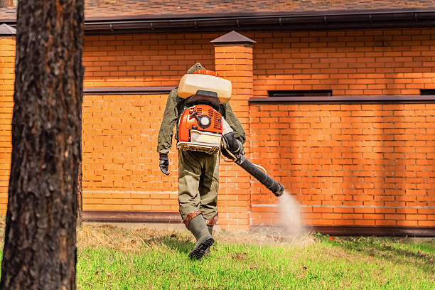 Trusted Fumigation Services service in Swepsonville, NC - Nex Pest Control